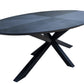 Fort Ovaal Visgraat Eettafelblad 260x120